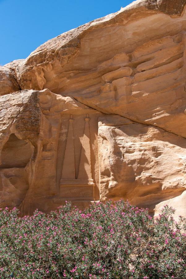 Bedouin Pink Ecohouse Bed & Breakfast Вади Муса Екстериор снимка